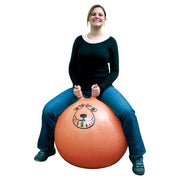 Retro Space Hopper Exercise Ball